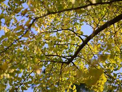 -白鹭湾湿地公园