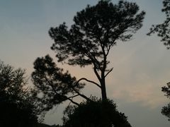 -火炉山森林公园