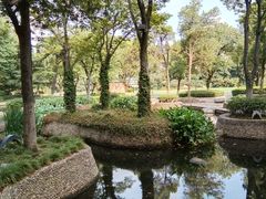 -盛兴面馆(真儒大厦店)