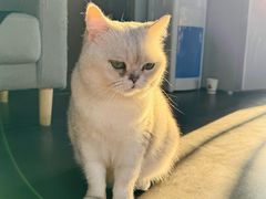 -M.S拳击泰拳馆(大学路店)