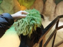 -酷嗒动物文化乐园(cutezoo西溪乐天城店)