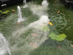 -濮园 · 四合院餐厅