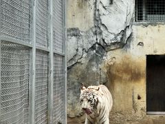 -黔灵山公园