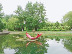 -长白岛森林公园