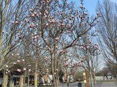 -永定河休闲森林公园