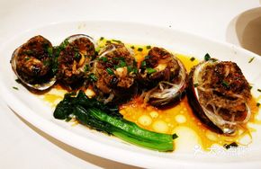 Australian Abalone