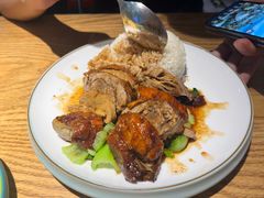 -昌勝香港深井烧鹅(新年华店)