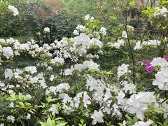 -成都杜甫草堂博物馆