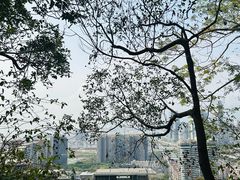 -小南山公园