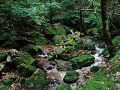 -本溪汤沟绿石谷森林公园