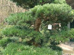 -成都杜甫草堂博物馆
