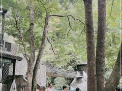 -石台牯牛降景区