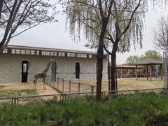 -石家庄市动物园