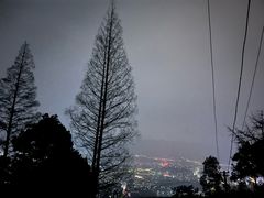 -缙云山景区
