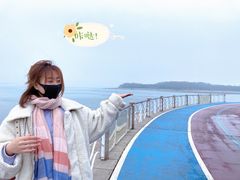 -琴岛之星摩天轮