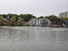 -南汇桃花村