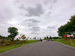 -滆湖低碳生态公园