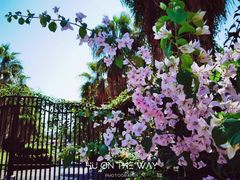 -厦门帝元维多利亚大酒店(环岛路黄厝海滩店)