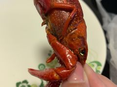 -杨氏青龙虾·羊蝎子(金盛路总店)