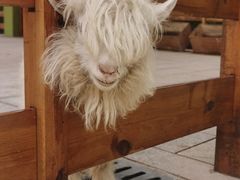 -华谊兄弟（长沙）电影小镇