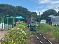-济州森林小火车生态公园