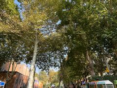 -西安电影制片厂