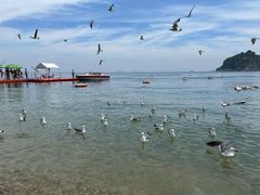-棒棰岛宾馆景区
