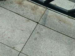 -望海潮海鲜店 特色家常菜(在海一方店)