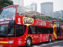 -BUS TOUR观光巴士