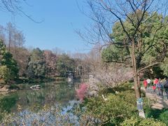 -杭州植物园