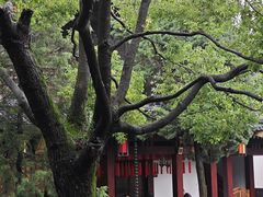 -香积寺