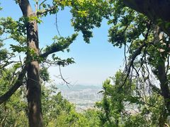 -紫金山山顶公园