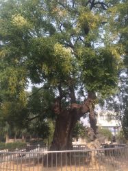 -大望京儿童游乐场