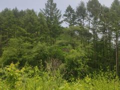 -萨尔浒风景区