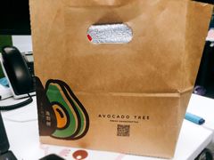 -油梨树 AVOCADO TREE(亮马桥店)