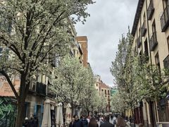 -阿方索十二世纪念碑