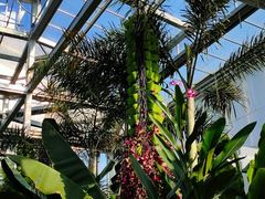 -国家植物园南园