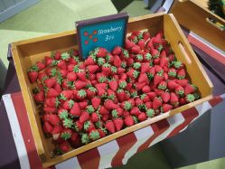 -幻贝家儿童乐园(苏州中心店)