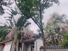 -深圳国际园林花卉博览园