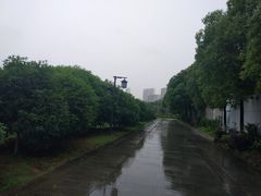 -八大山人梅湖景区