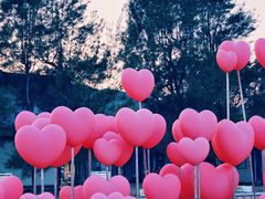 -西涌国际滨海旅游区