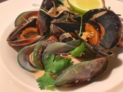 当季进口青口贝-壳里西餐厅Coquille Seafood Bistro(蒙自路店)