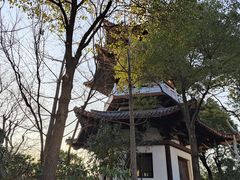 -武汉园博园(武汉自然博物馆)