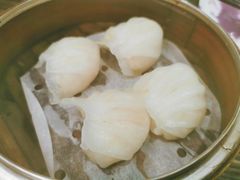 虾饺-周记点心(西环店)