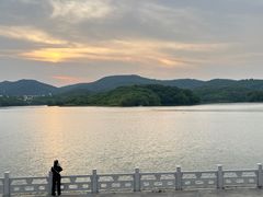 -佛手湖郊野公园