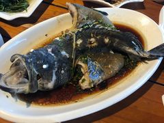 -蓝湾碧波·老字号·疍家非遗海上餐厅