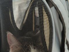 -艾贝尔宠物医院 ·中兽医·宠保定点(北门桥店)