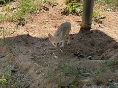 -石家庄市动物园