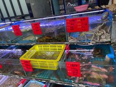 水产区-金海湾海鲜排档(朱家尖店)