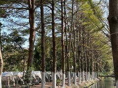 -新塘水果乐园(东洲大道店)